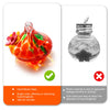 Hand Blown Glass Hummingbird Feeder Outdoor Hanging