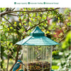Hanging Bird Feeder Outdoor Wild Bird Seed Feeder