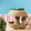 Hamster Apple Core Chew Toy, Natural Grass Foraging Toy
