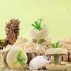 Hamster Apple Core Chew Toy, Natural Grass Foraging Toy