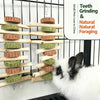 Hanging Sweet Bamboo Chew Toy for Rabbits